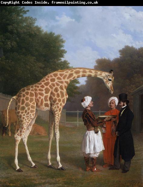 Jacques-Laurent Agasse The Nuian Giraffe (mk25)